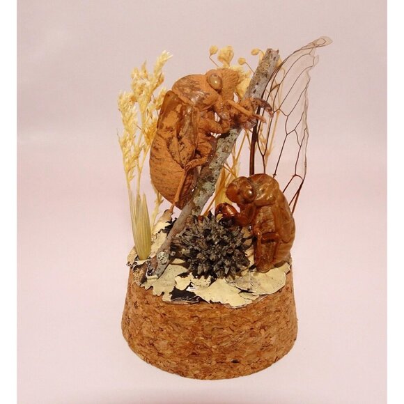 Two Cicada Skins Wing Sweetgum Ball lycan & Oddity Jar goth witchy taxidermy - Picture 2 of 13